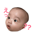 あかちゃんとにゃんこ＋（個別スタンプ：4）