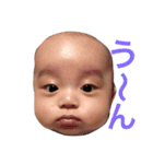 あかちゃんとにゃんこ＋（個別スタンプ：20）