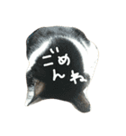 ねこネコ猫スタンプ（個別スタンプ：5）