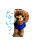 ことぅ（個別スタンプ：1）