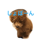 ことぅ（個別スタンプ：3）
