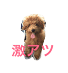 ことぅ（個別スタンプ：4）