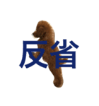 ことぅ（個別スタンプ：8）