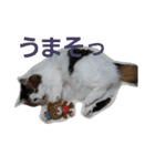 ぼくおとく part1（個別スタンプ：2）
