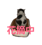 ぼくおとく part1（個別スタンプ：4）
