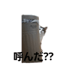 ぼくおとく part1（個別スタンプ：6）