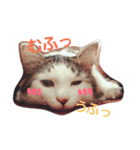 ぼくおとく part1（個別スタンプ：8）