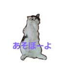 ぼくおとく part1（個別スタンプ：9）