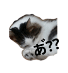 ぼくおとく part1（個別スタンプ：10）