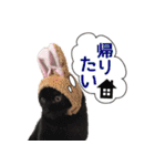 猫にゃ・にゃ・にゃ！part3（個別スタンプ：18）