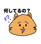 ポメラニアンのアンコ（個別スタンプ：6）