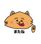 ポメラニアンのアンコ（個別スタンプ：31）