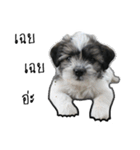 The puppy.（個別スタンプ：2）