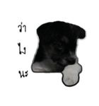 The puppy.（個別スタンプ：11）