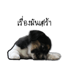 The puppy.（個別スタンプ：12）