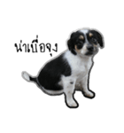 The puppy.（個別スタンプ：13）