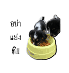 The puppy.（個別スタンプ：28）