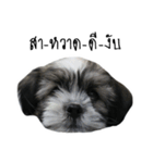 The puppy.（個別スタンプ：30）