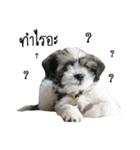 The puppy.（個別スタンプ：31）