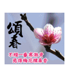 Chinese Elders commonly Stickers（個別スタンプ：1）