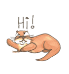 The adorable otters speak English（個別スタンプ：34）