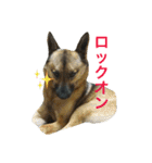 モカハウス（個別スタンプ：1）