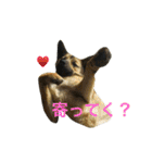 モカハウス（個別スタンプ：11）