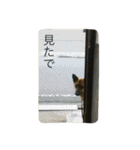 モカハウス（個別スタンプ：12）