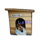 モカハウス（個別スタンプ：20）