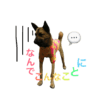 モカハウス（個別スタンプ：30）