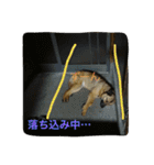 モカハウス（個別スタンプ：31）