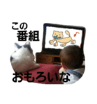ぼくおとく part2（個別スタンプ：4）