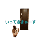 ぼくおとく part2（個別スタンプ：5）