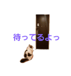 ぼくおとく part2（個別スタンプ：6）