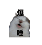 ぼくおとく part2（個別スタンプ：7）