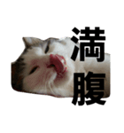 ぼくおとく part2（個別スタンプ：8）