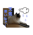 ぼくおとく part2（個別スタンプ：11）