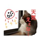 ぼくおとく part2（個別スタンプ：12）
