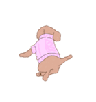 あんずとすももと（個別スタンプ：7）