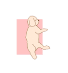 あんずとすももと（個別スタンプ：9）