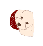 あんずとすももと（個別スタンプ：11）