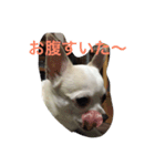 ジャスティス1（個別スタンプ：2）