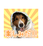 愛しいハル（個別スタンプ：7）