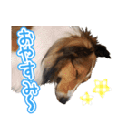 愛しいハル（個別スタンプ：8）