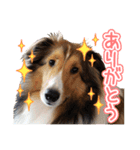 愛しいハル（個別スタンプ：9）