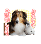 愛しいハル（個別スタンプ：12）