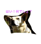 雑シリーズ（個別スタンプ：2）