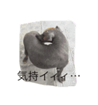 雑シリーズ（個別スタンプ：4）