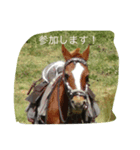 雑シリーズ（個別スタンプ：7）