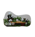 小次郎な日々3（個別スタンプ：4）